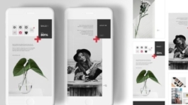 84316050-0af0-49db-a53a-241d47ddad0e-2-567x425