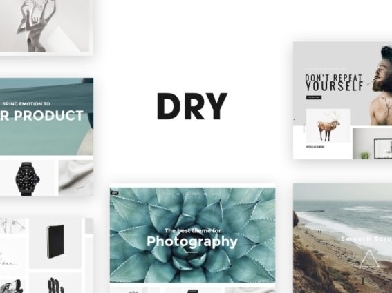 DRY-1-567x425